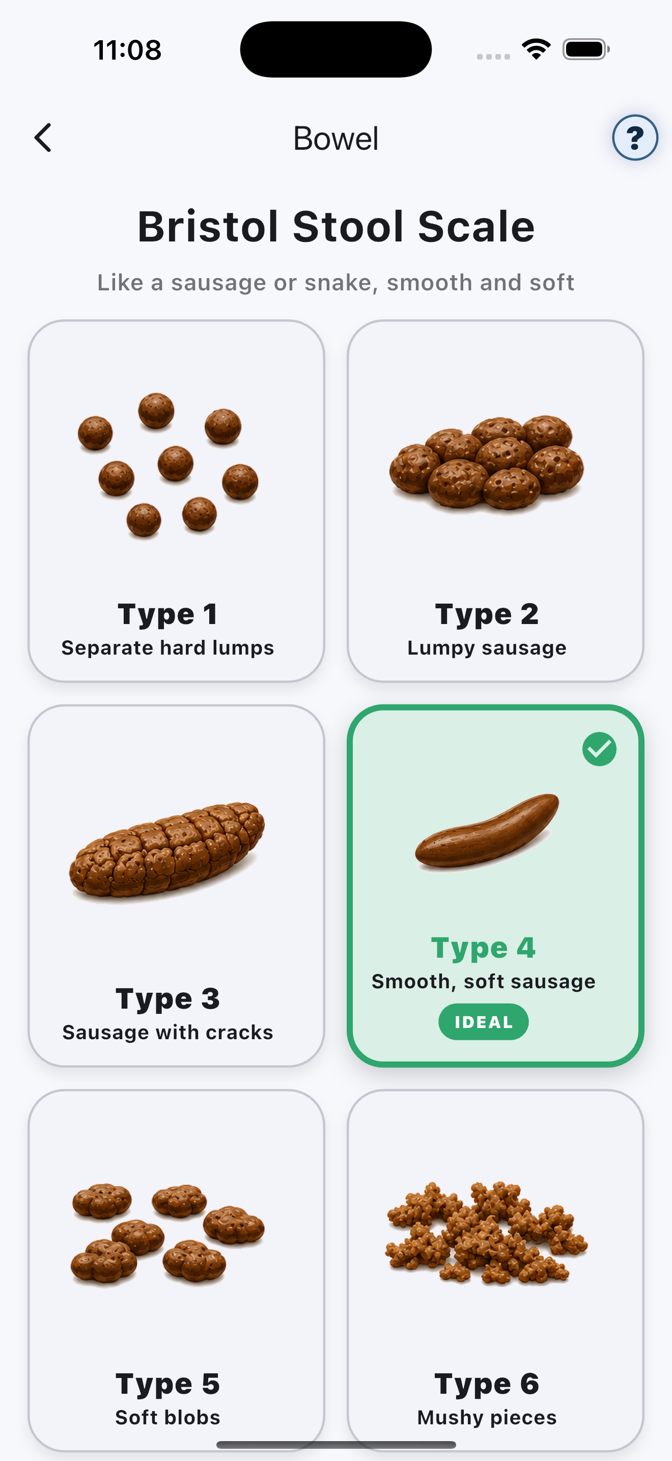Bristol Stool Scale in Vayru